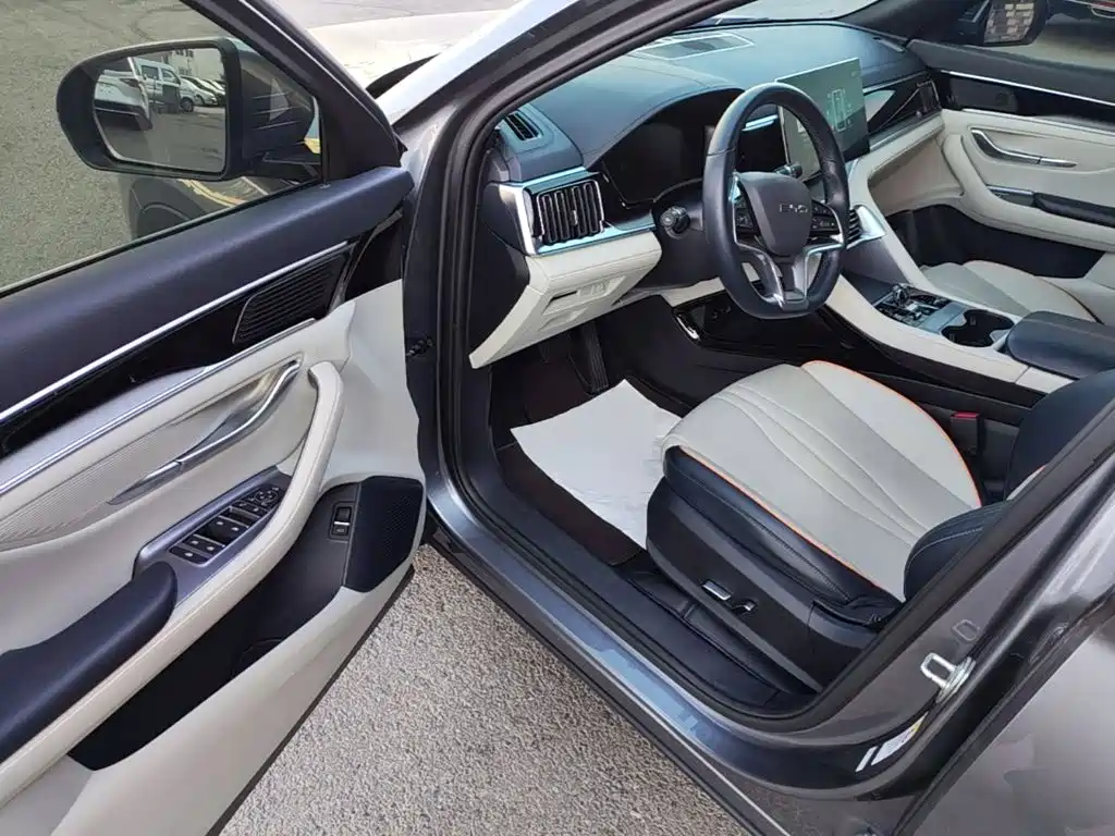 BYD PLUS New Energy — миниатюра 16