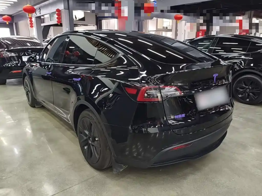 Tesla Model Y — миниатюра 5