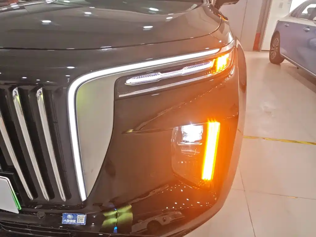 Hongqi Hongqi E-HS9 — миниатюра 24