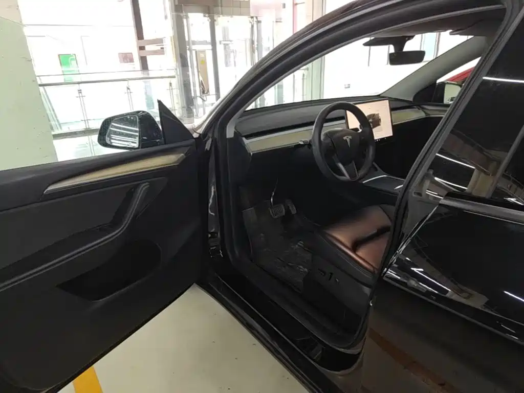 Tesla Model Y — миниатюра 12