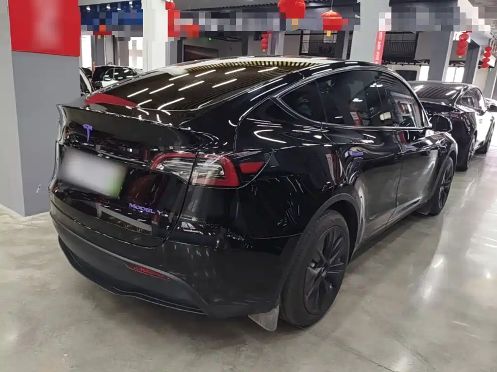 Tesla Model Y — миниатюра 7