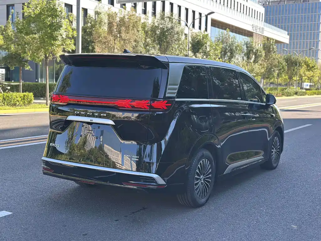 Denza Denza D9 — миниатюра 6