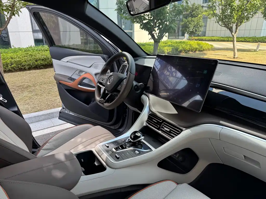BYD Pro New Energy — миниатюра 19