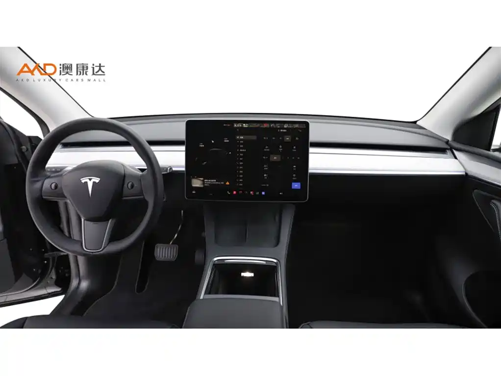 Tesla Model Y — миниатюра 5