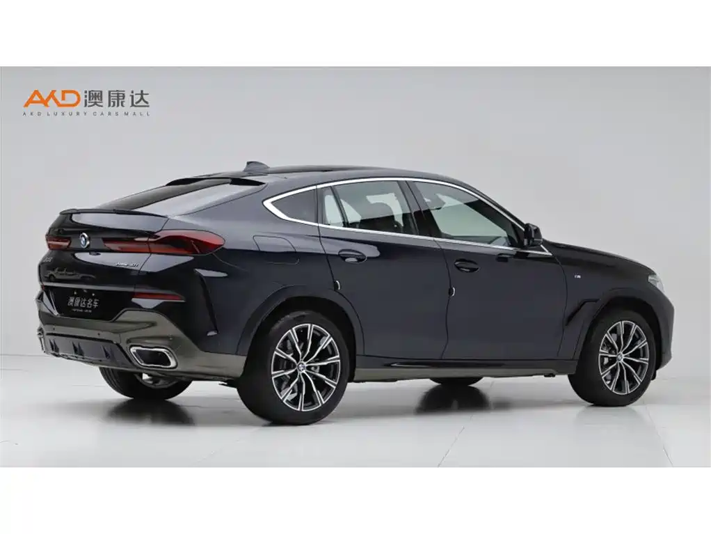 BMW X6 — миниатюра 3