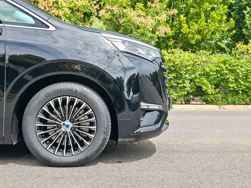 Denza Denza D9 — миниатюра 18