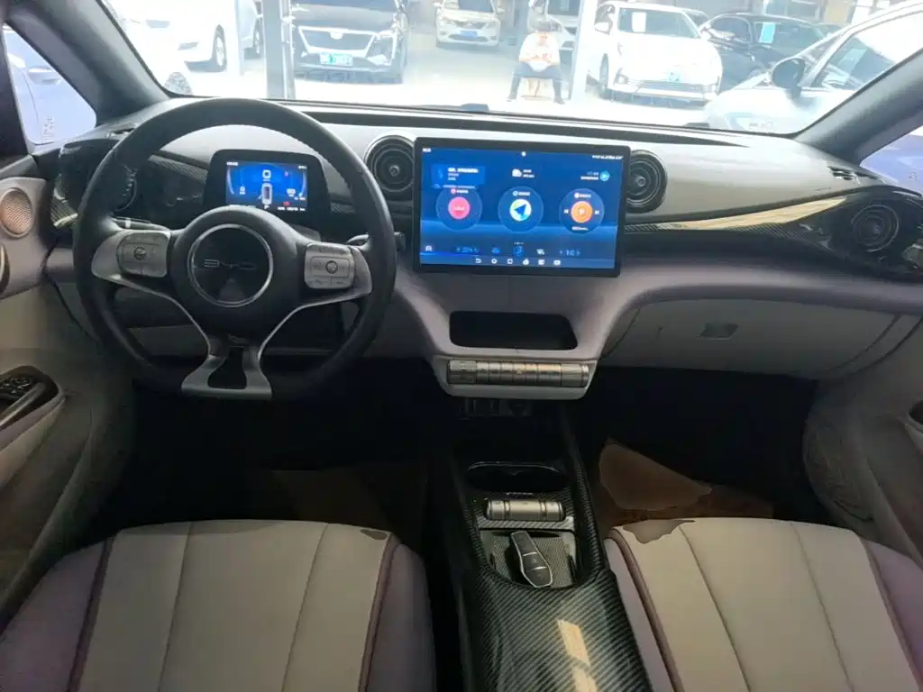 BYD Dolphin — миниатюра 10