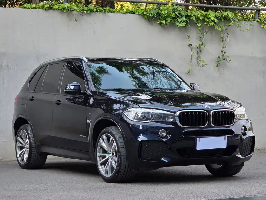 BMW X5 (Import) — миниатюра 3