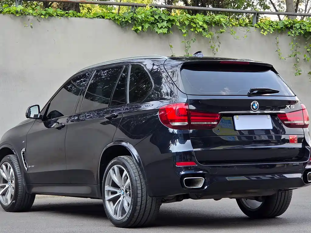 BMW X5 (Import) — миниатюра 6