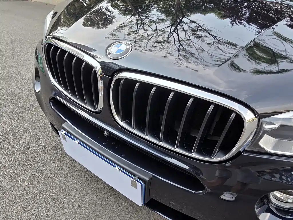BMW X5 (Import) — миниатюра 10
