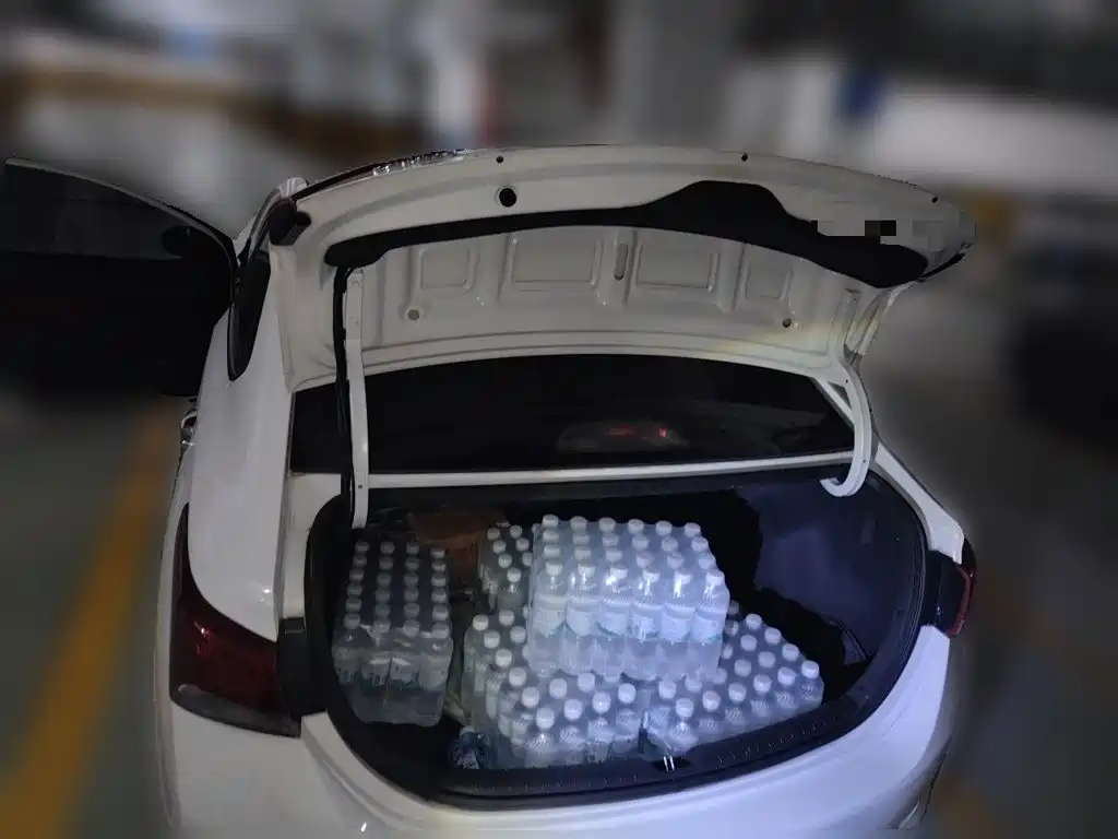 Hyundai Verna — миниатюра 15