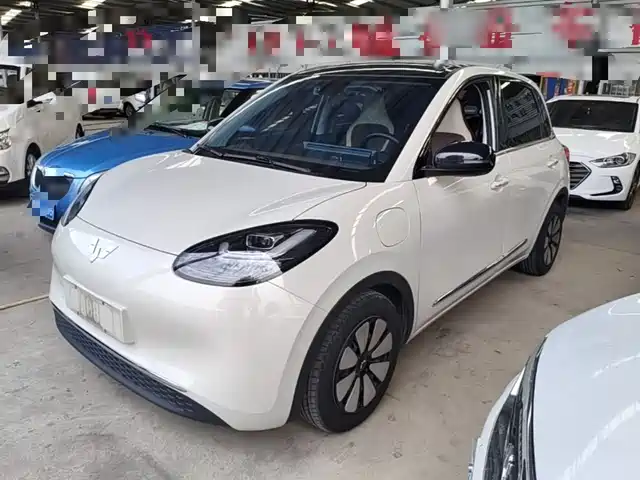 2024 Wuling Motors Binguo