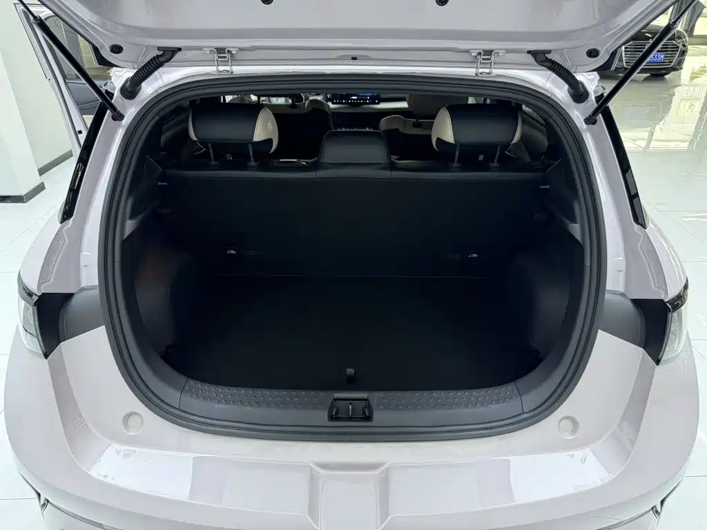 BYD Dolphin — миниатюра 16