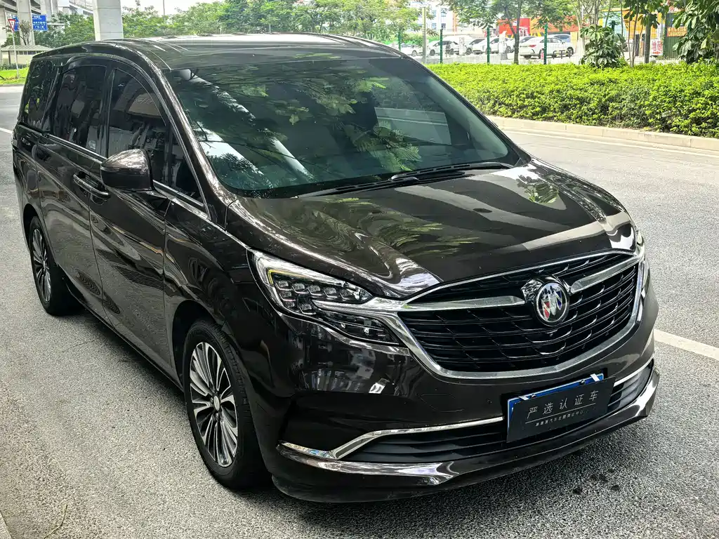 Buick GL8 — миниатюра 5