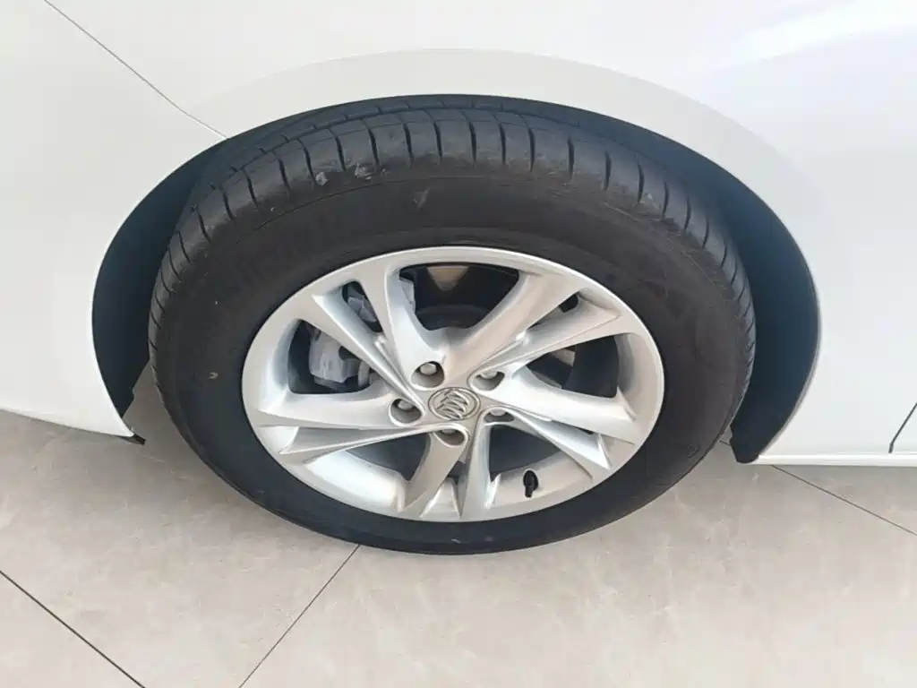 Buick Regal — миниатюра 23