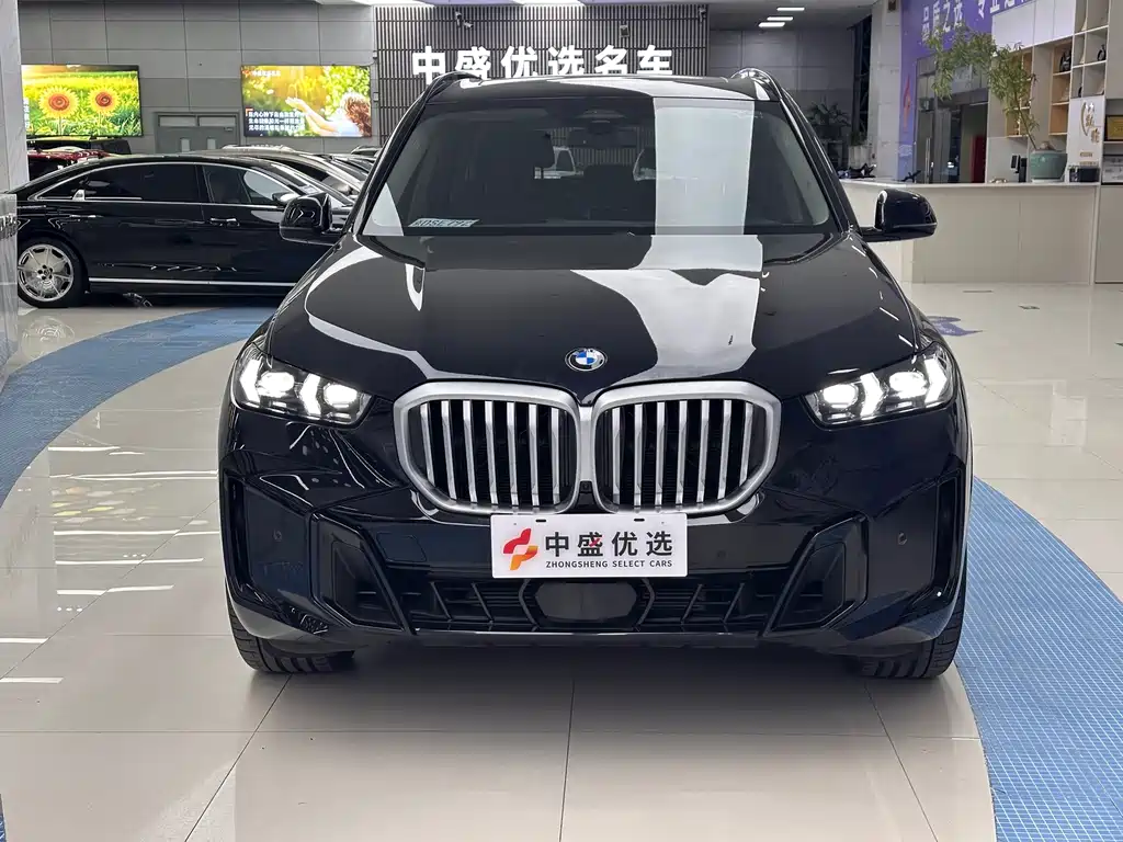 BMW X5 — миниатюра 2
