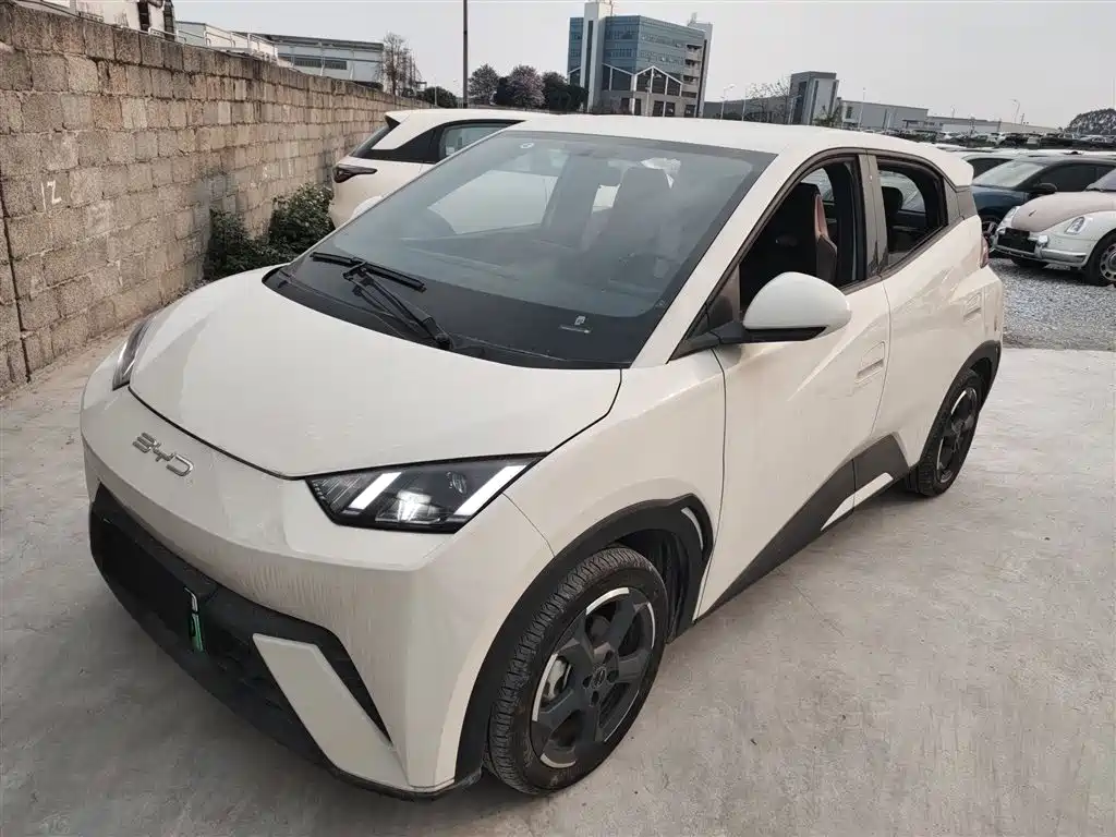 Byd Seagull 2024