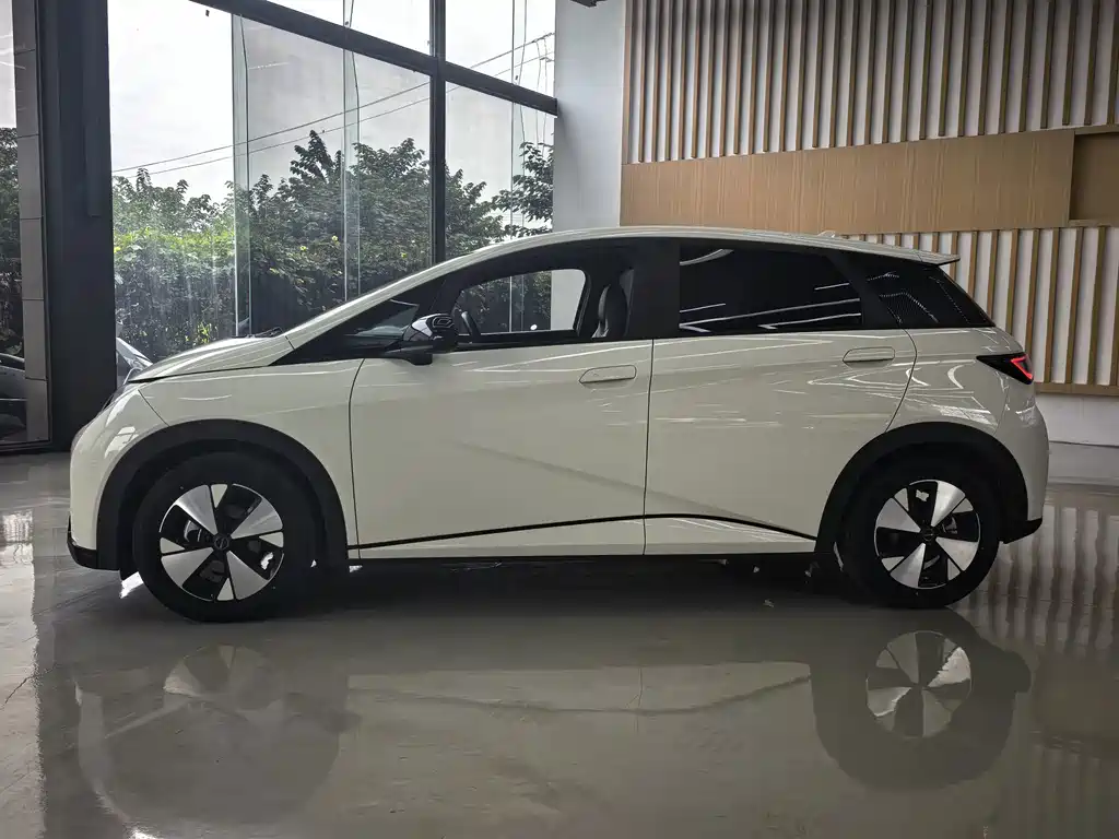 BYD Dolphin — миниатюра 7