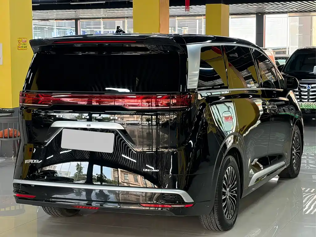 Denza Denza D9 — миниатюра 17