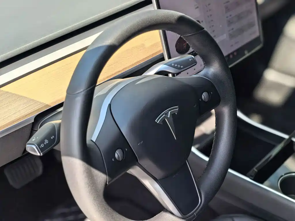 Tesla Model 3 — миниатюра 19