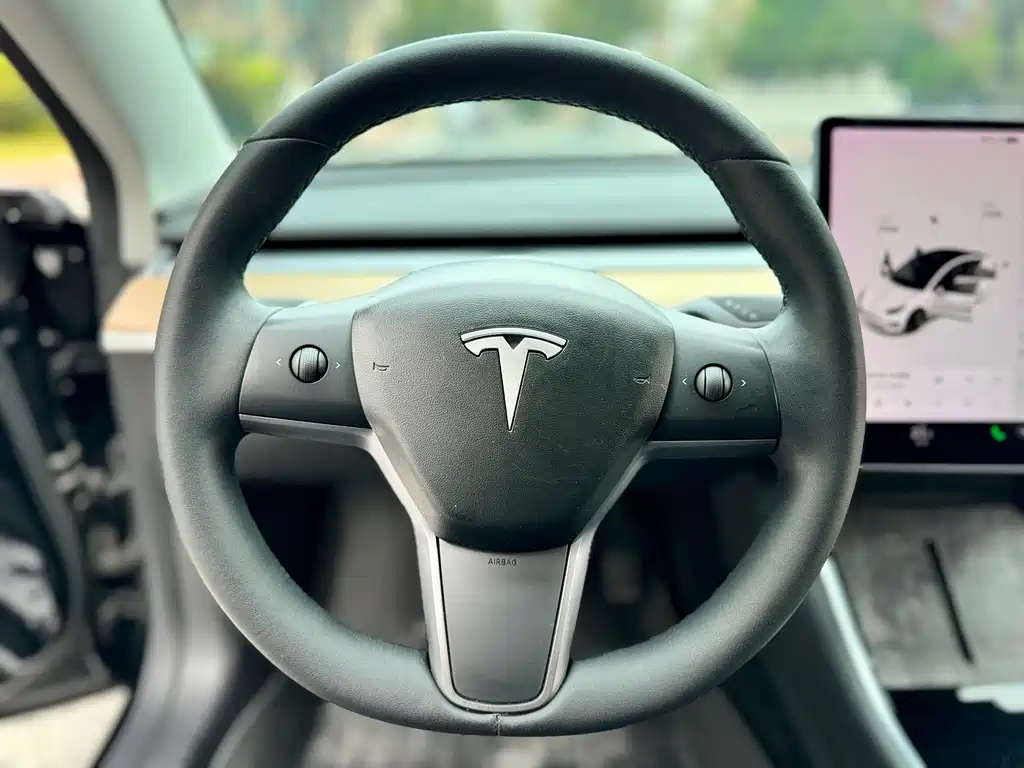Tesla Model 3 — миниатюра 13