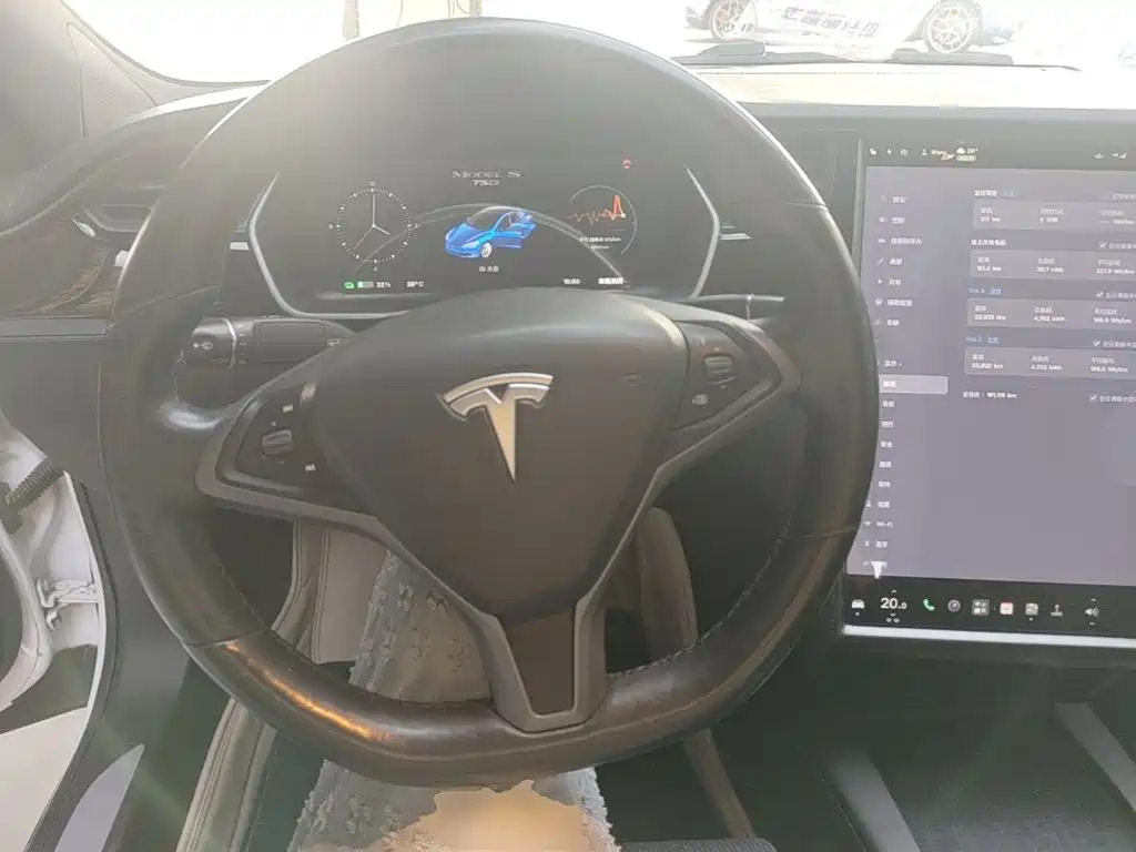 Tesla Model S — миниатюра 11