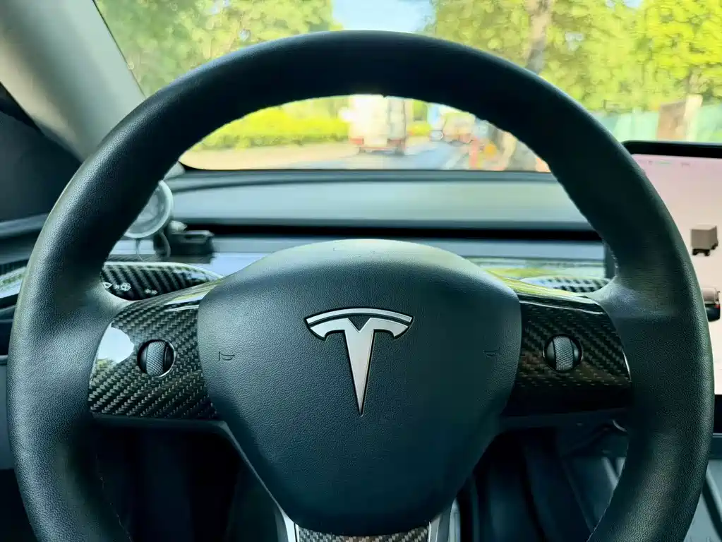 Tesla Model Y — миниатюра 10