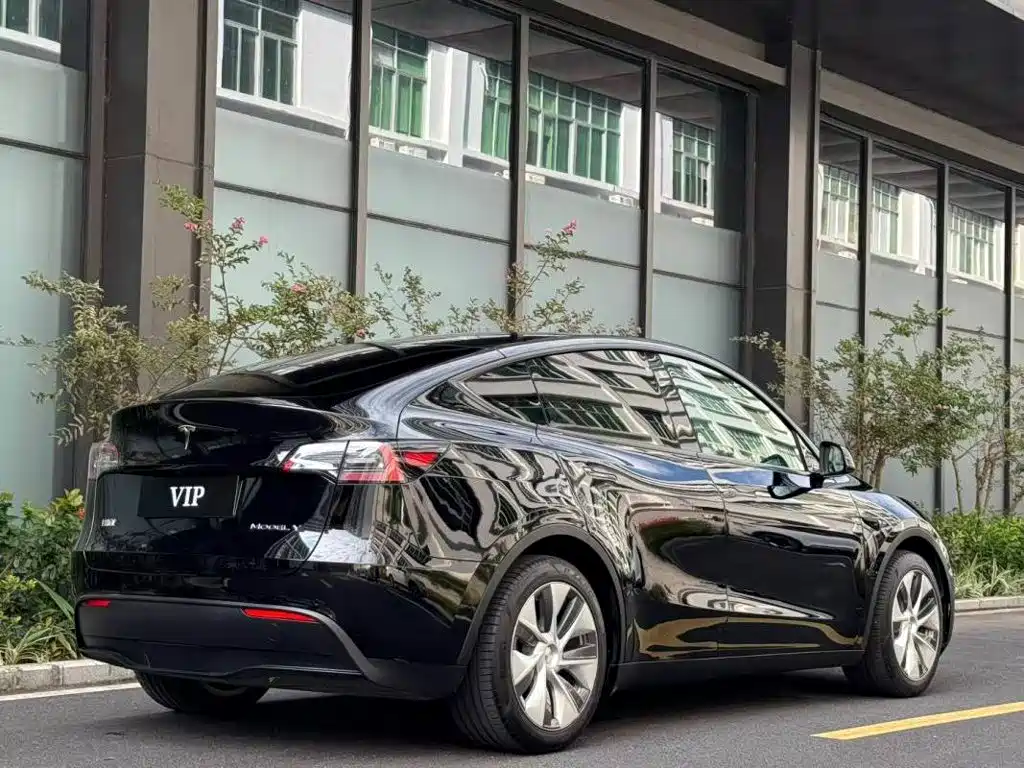 Tesla Model Y — миниатюра 8
