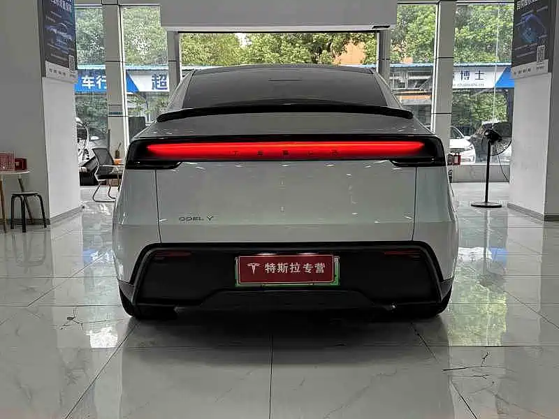 Tesla Model Y — миниатюра 8