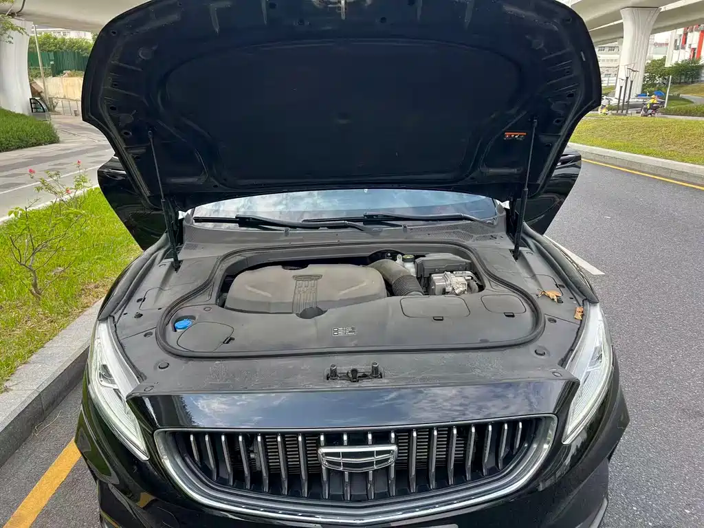 Geely Borui Hybrid — миниатюра 14