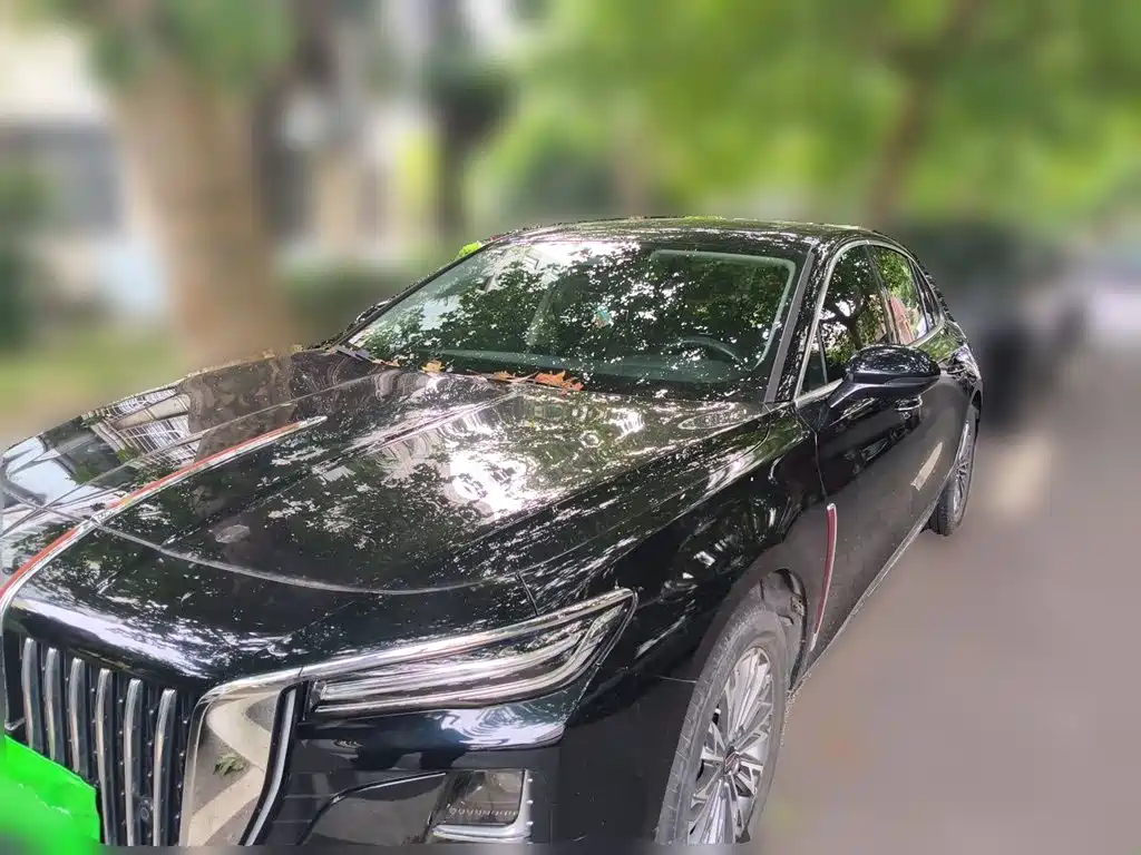 Hongqi Hongqi H5 — миниатюра 2