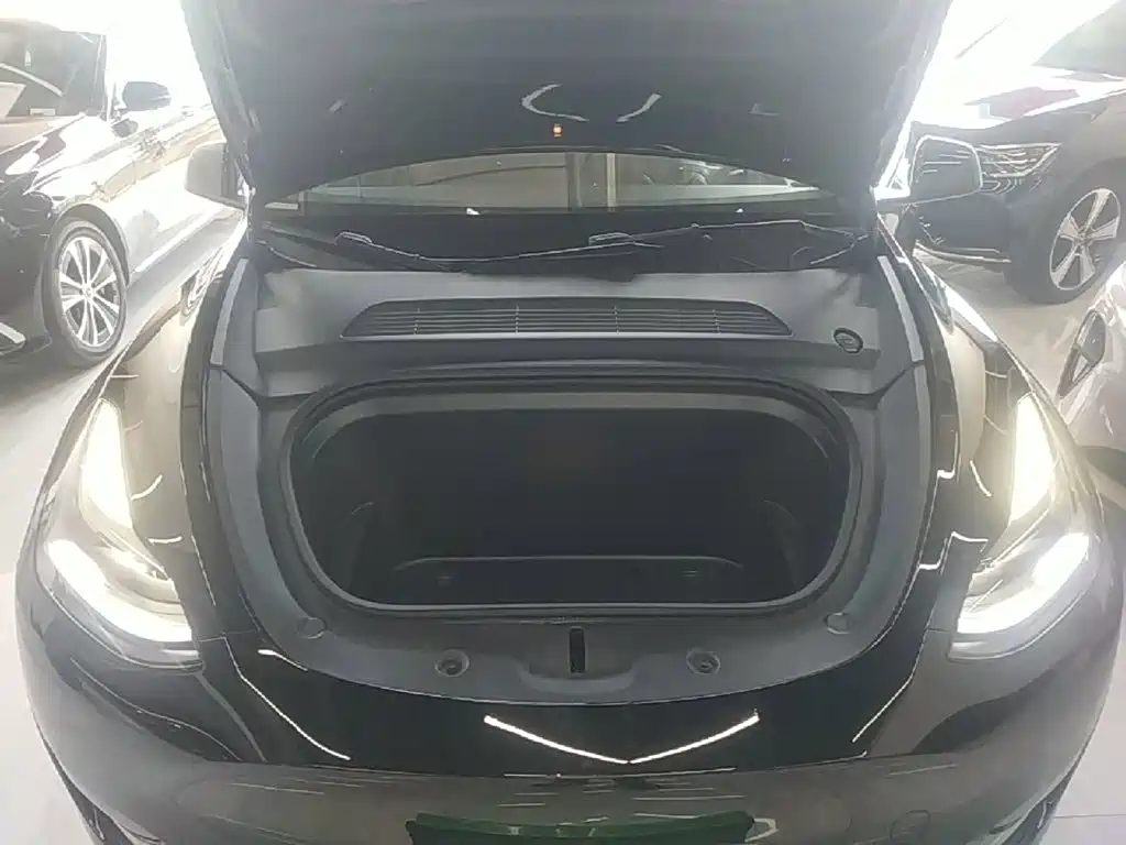 Tesla Model Y — миниатюра 20