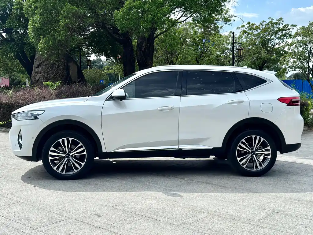 HAVAL  F7