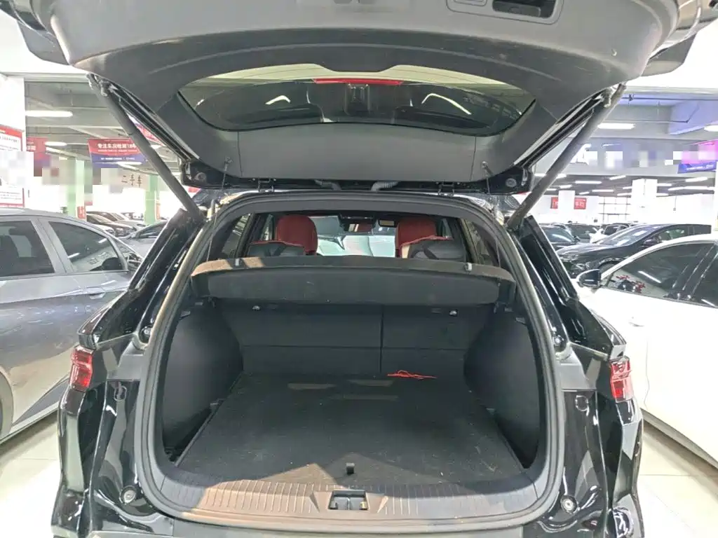 BYD Pro New Energy — миниатюра 19