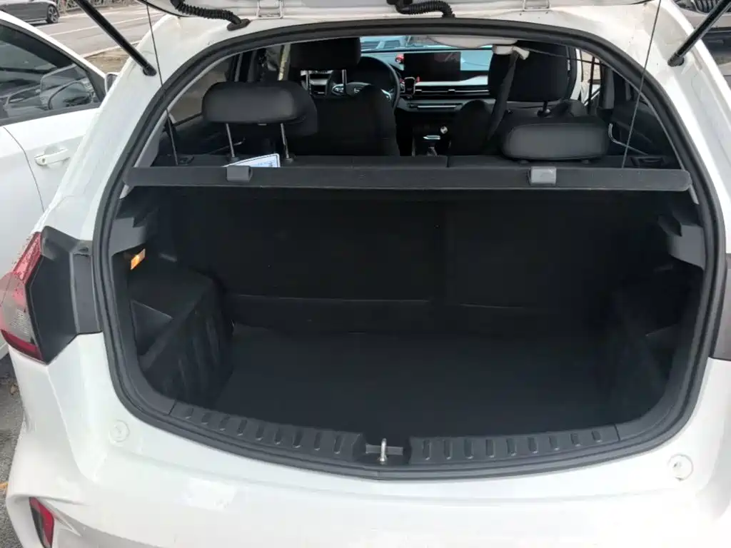 Geely Vision X3 — миниатюра 19