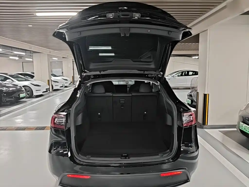 Tesla Model Y — миниатюра 19
