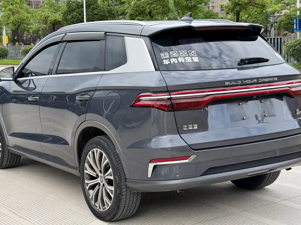 BYD Pro New Energy — миниатюра 6