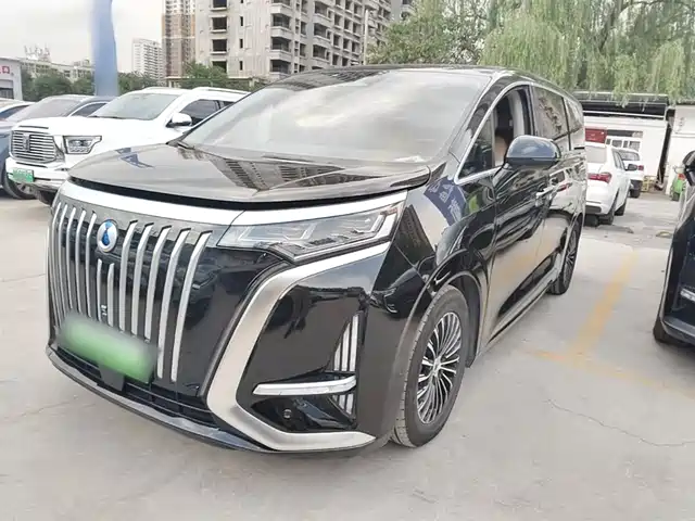 2023 Denza D9