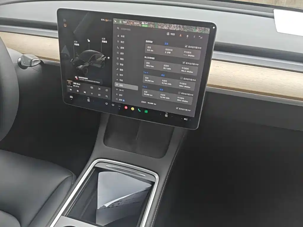 Tesla Model Y — миниатюра 13