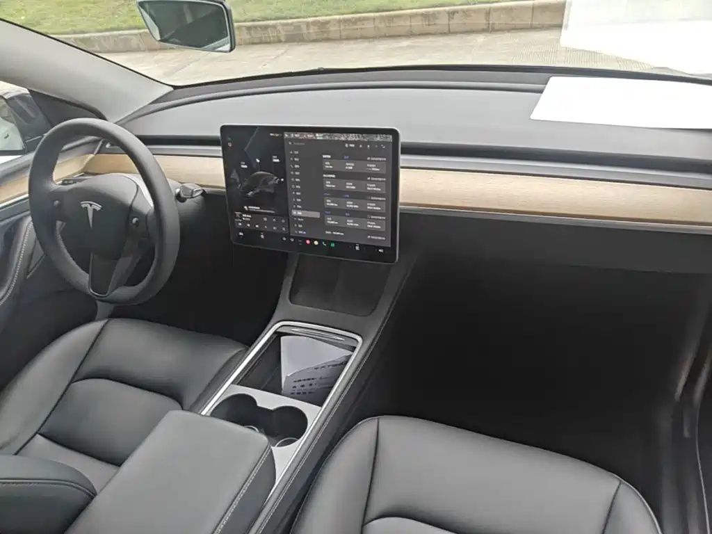 Tesla Model Y — миниатюра 10