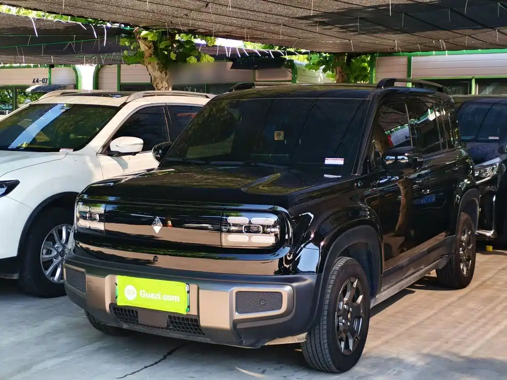 Baojun YepPlus Plus 2026 301km Flagship