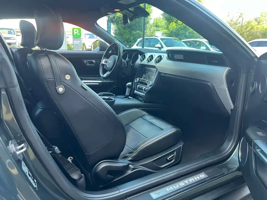 Ford Mustang — миниатюра 7