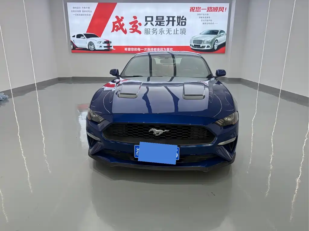 Ford Mustang — миниатюра 2