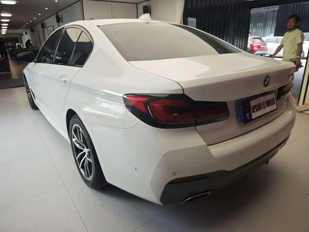 BMW 5 Series (Import) — миниатюра 5