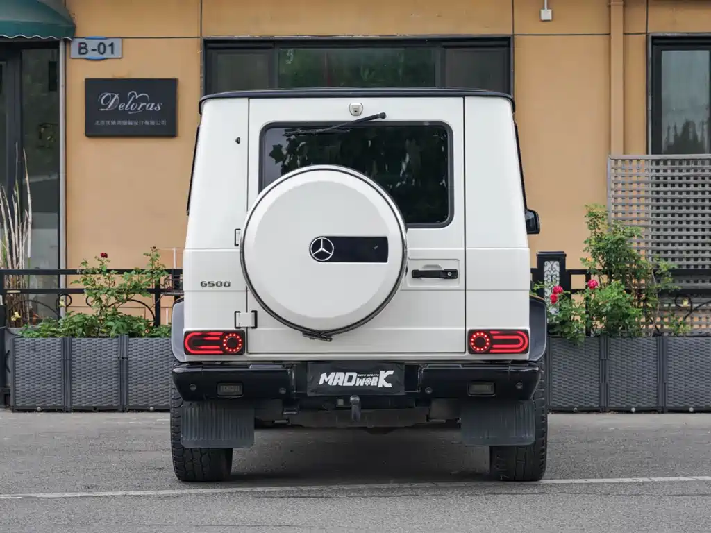 Mercedes-Benz G-Class G 2010 G 500
