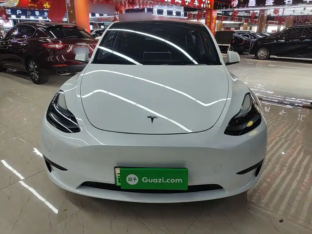 Tesla Model Y — миниатюра 3