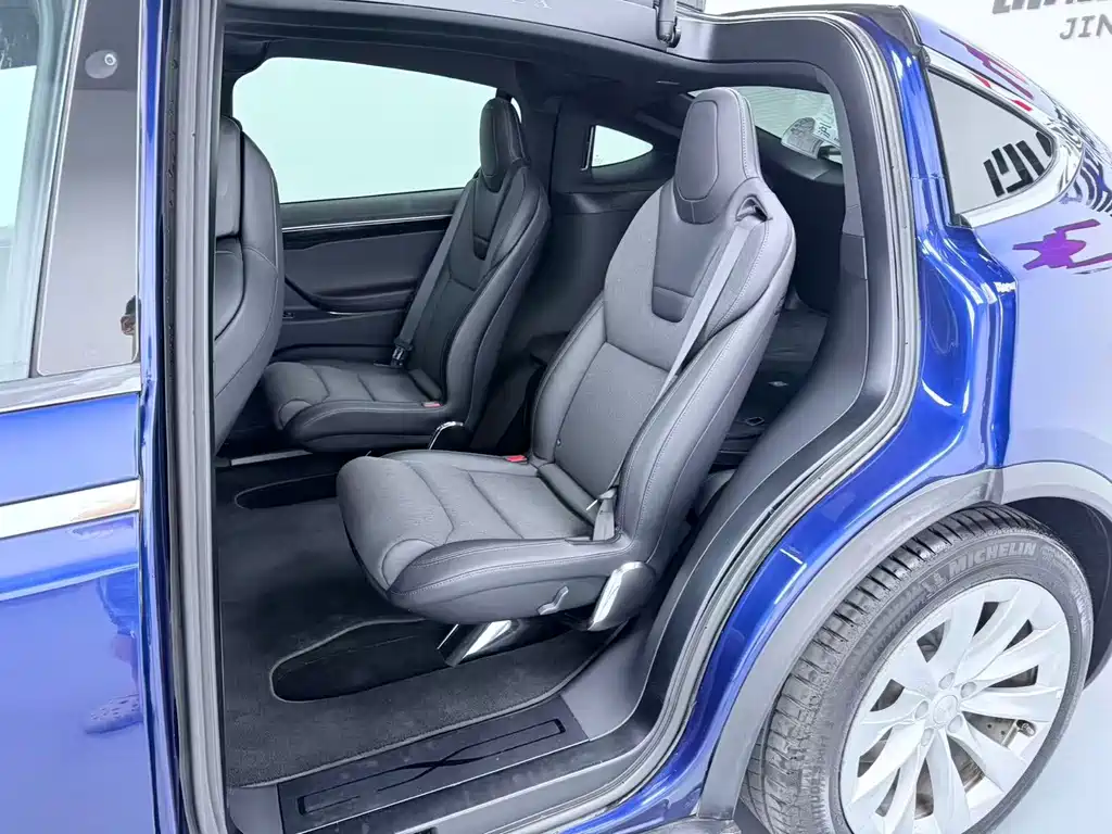 Tesla Model X — миниатюра 6