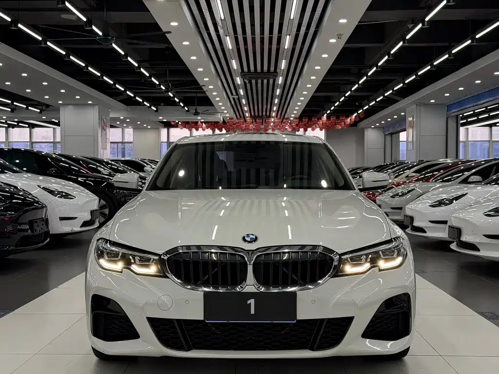 BMW 3 Series — миниатюра 2