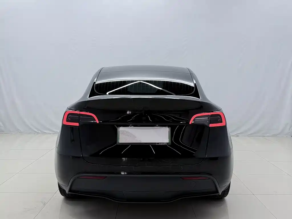 Tesla Model Y — миниатюра 13