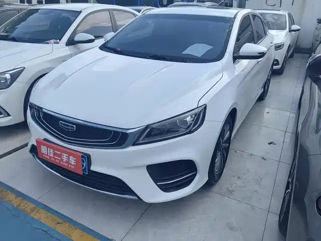 2020 Geely Binrui